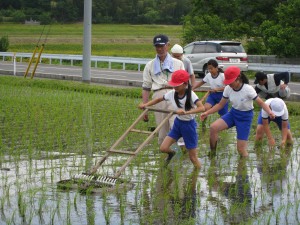 草取り１