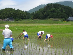 草取り２