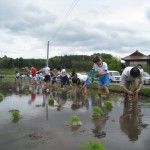 2010大朝小田植え2