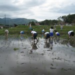 2010大朝小田植え3